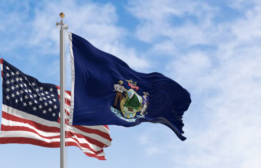 Maine state flags and the American flag waving in the wind on a clear day