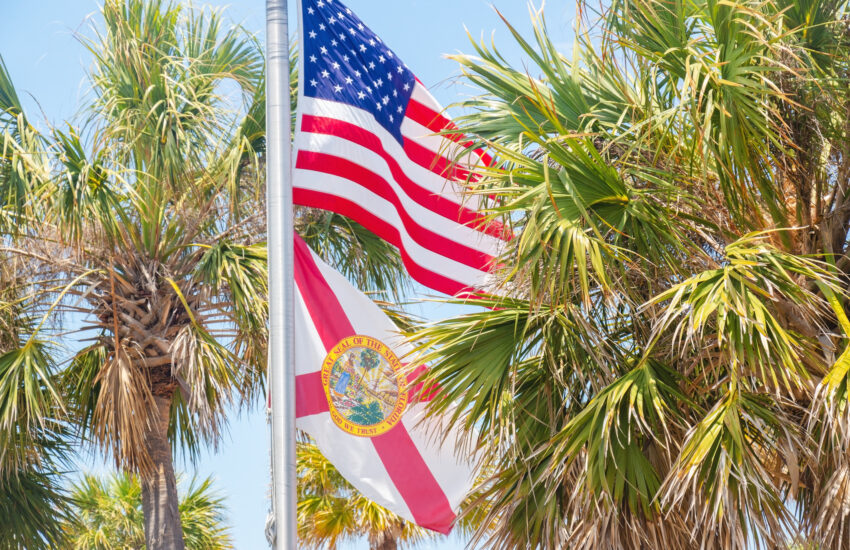 American Flag and Florida Flag between Palm Trees